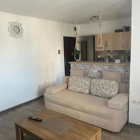 Garsoniera Centrala Apartment